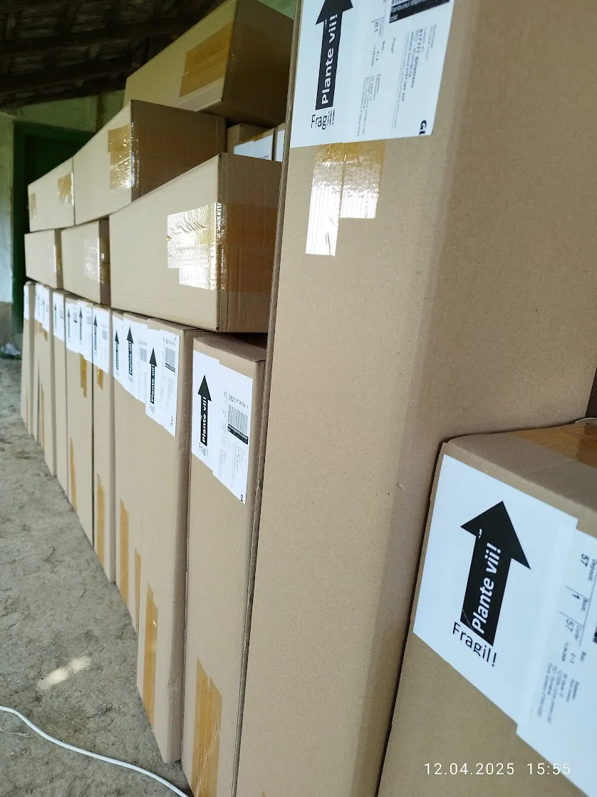 Cutii de carton cu 5 straturi pentru livrarea plantelor