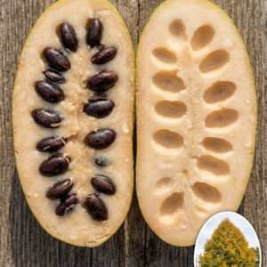 Pawpaw Banana Nordului Honeydew