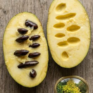Pawpaw Banana Nordului Tallahatchie® Peterson Pawpaws®